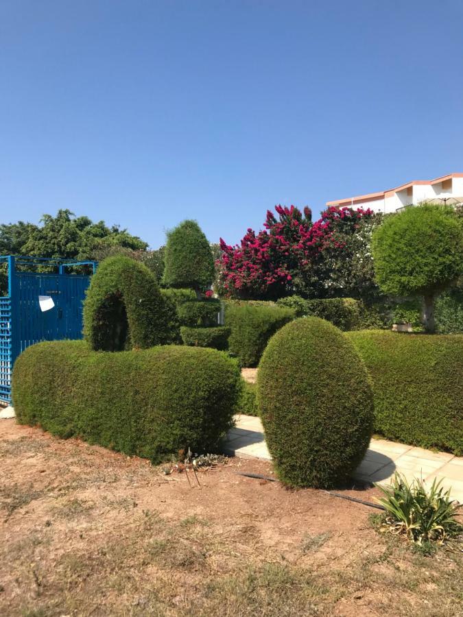 2 Bedroom Apartment-Mediterranean Type Pafos Exterior foto